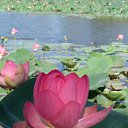 ���� ��������, ���������, 49 ��� - ��������� 28 ������ 2026 � ������ ���� ����������