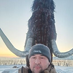 , 42, 