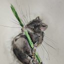 ���� ��������, ������, 65 ��� - ��������� 19 ����� 2026 � ������ ���� ����������