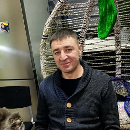 , 36, 