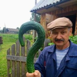 , 59, 