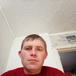 , 34, 