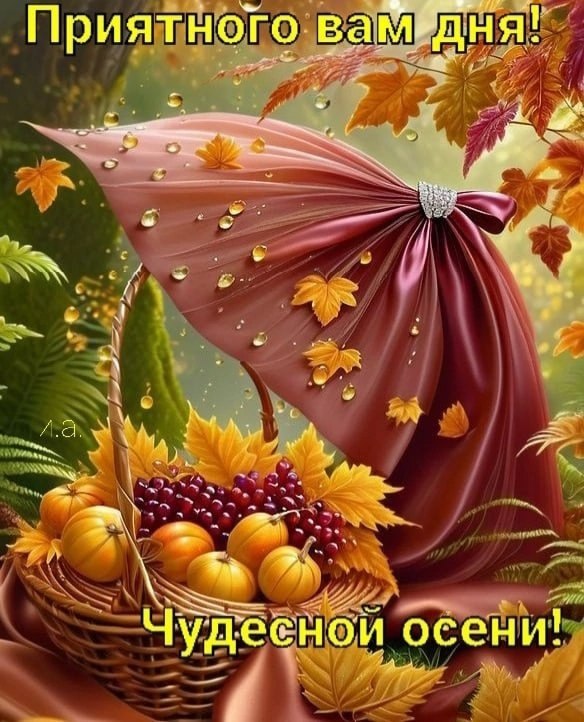  - 19  2024  08:15