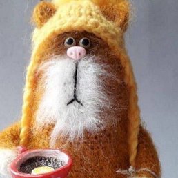 ������, ��������, 55 ���