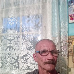 , 53, 