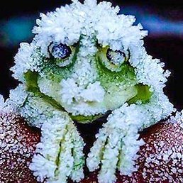 �������������, ����, 45 ���