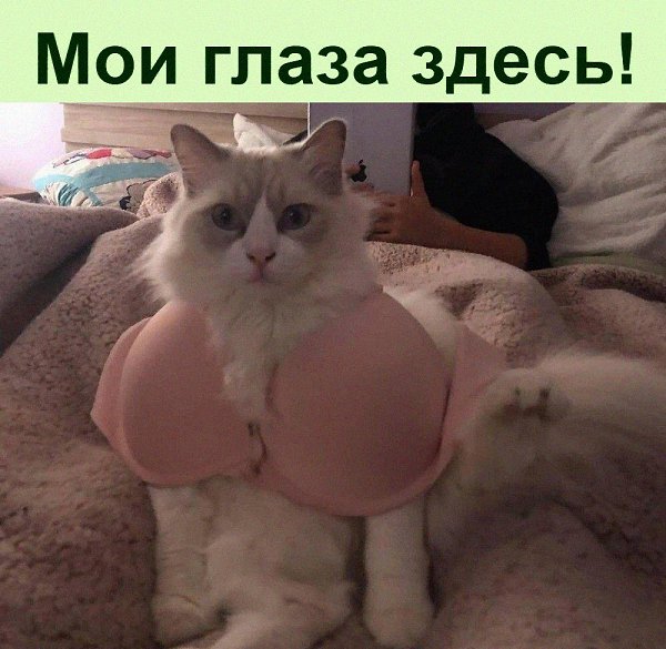 ������ ��������� :D - 17 ������ 2024 � 11:35