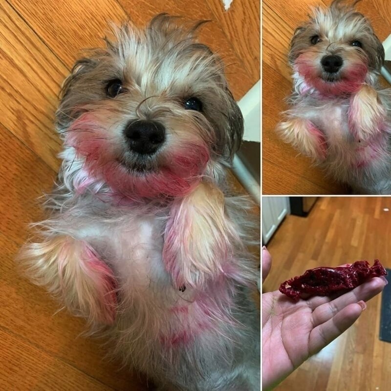 -Твоя помада? Нет, не видел