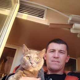 ��������, 43 ����, ���