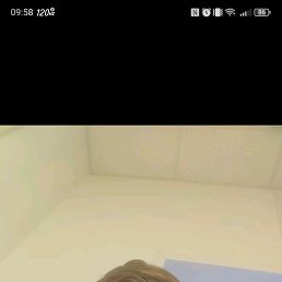 , 26, 
