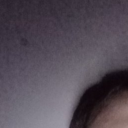 , , 24 