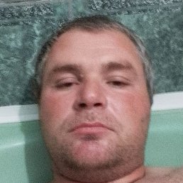 ��������, ������, 37 ���