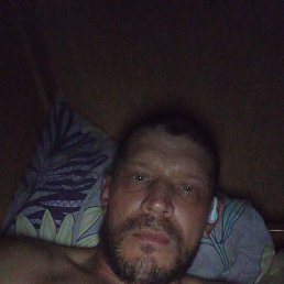  , 41, 