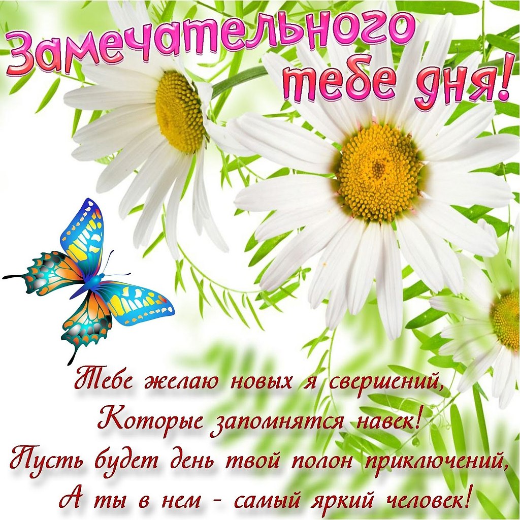   ,    . - 8  2025  09:00