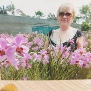 �����, 55 ���, �����