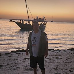 , 42, 