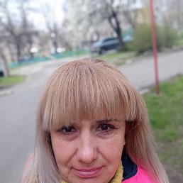 ���� �������, ��������, 44 ���� - ��������� 13 ������ 2026