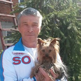 ���� ������, ������� - ��������� 11 ������ 2026