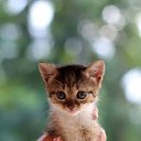 ���� ����, �����-���������, 51 ��� - ��������� 19 ������� 2025 � ������ ������ ��������