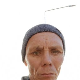 , 44, 
