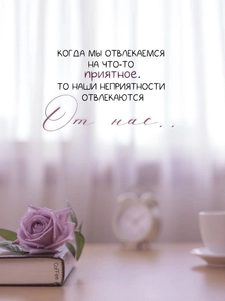   - 6  2025  18:09