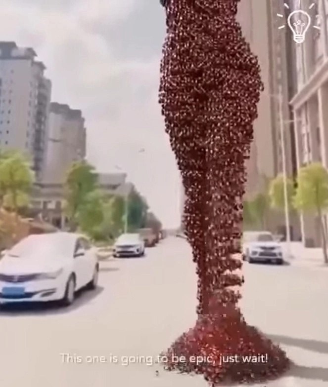     . - 2