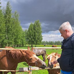 ������ ������ Na ���, �����-���������