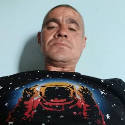 �����, �������, 44 ����