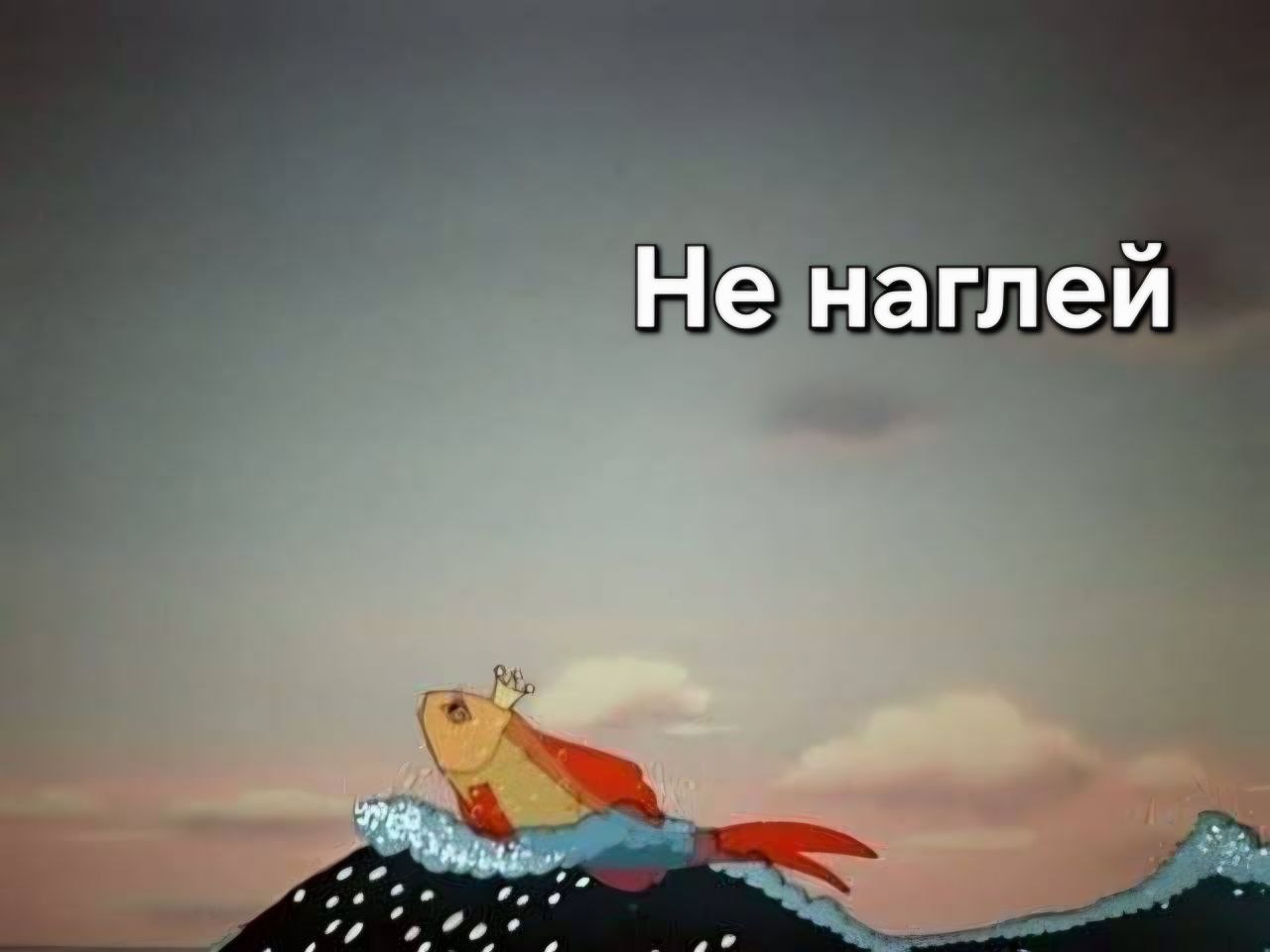 Я не стерва, это нервы© Статусы - 24 октября 2025 в 17:28 - 3