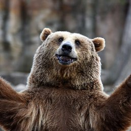 ���������, ������, 32 ����