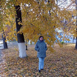 , 56, 