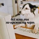���� !�!, ������, 46 ��� - ��������� 27 �������� 2024 � ������ ������ ��������