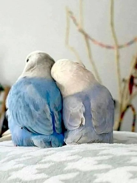 :) Настоящую нежность не спутаешь ни с чем. Счастье оно тихое, уютное, родное…