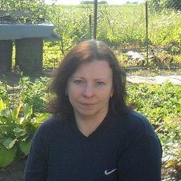 �������, �����-���������, 54 ����