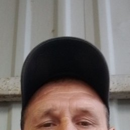 , 46, 