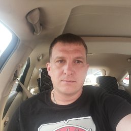 ���� ����������, ������, 41 ��� - ��������� 12 ������ 2024