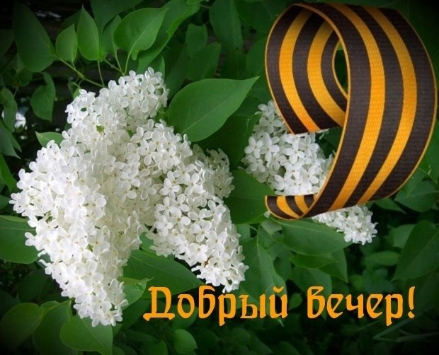 ����������� � ���������, �������� �� ������ ����. - 9 ��� 2026 � 17:30