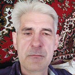 , , 50 