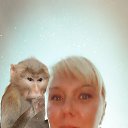 ���� ���������, ������, 39 ��� - ��������� 8 ������ 2024