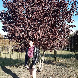 �����, ������, 38 ���