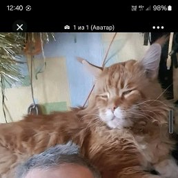 , 59 , 