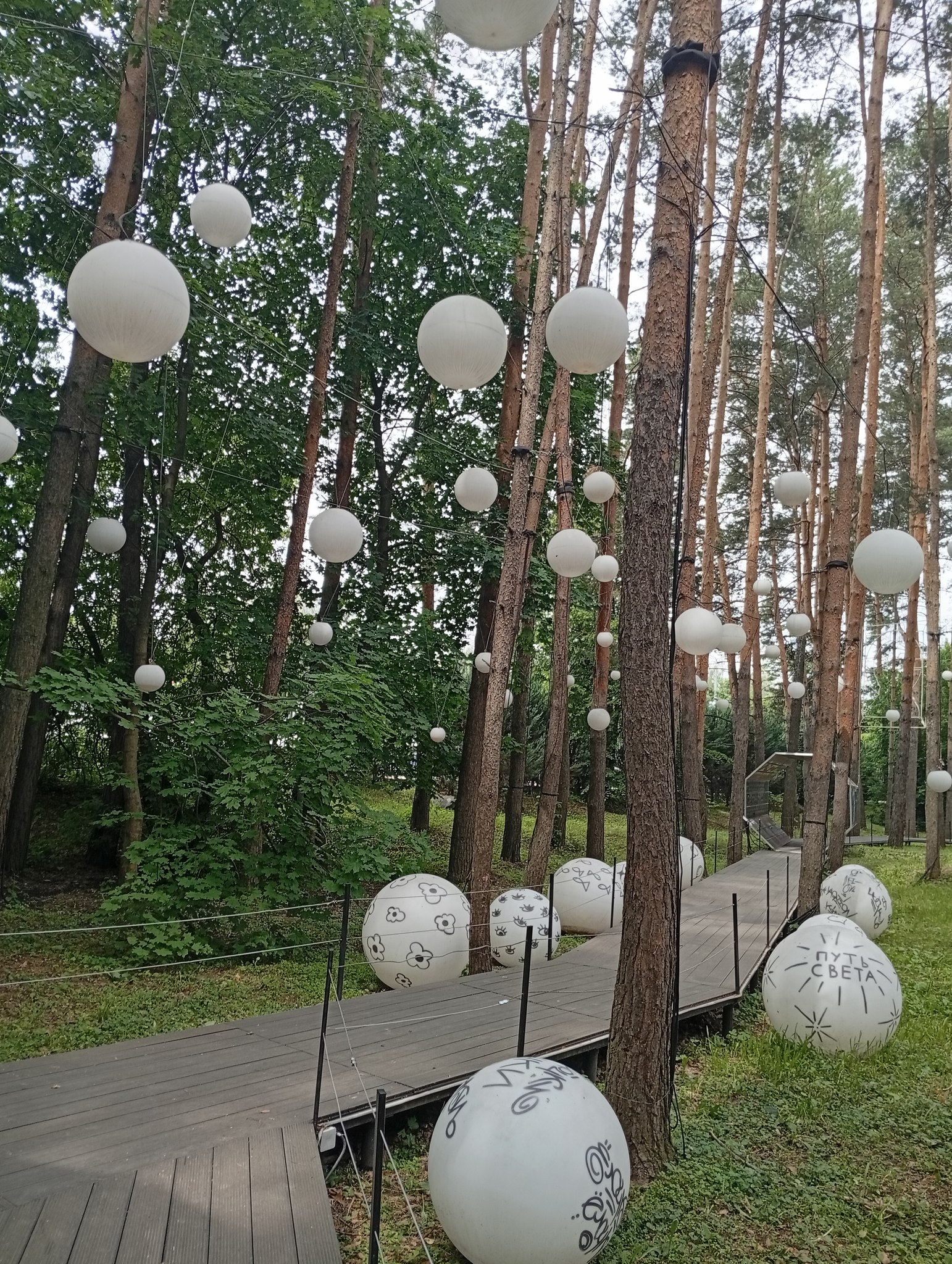 Diva - 8  2025  13:40 - 4