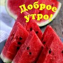 ���� ����, �����-���������, 49 ��� - ��������� 26 ���� 2025