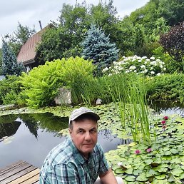 �������, ���������, 58 ���