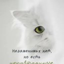  ,  -  19  2025    