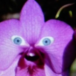 ���� ��������, �����������, 26 ��� - ��������� 20 ������� 2024