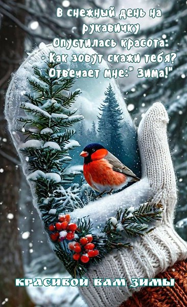 ₪╬═►  ||  ||  ◄═╬₪ - 1  2024  17:27