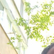 , 32 , 