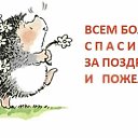 ���� �, ������, 61 ��� - ��������� 15 ������� 2025 � ������ ������ ��������