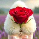 ���� Mahmud, ���������, 55 ��� - ��������� 3 ��� 2026 � ������ ���� ����������